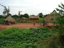 Reizen en vakantie in de Centraal Afrikaanse Republiek