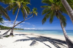 Reizen en vakantie in Fiji
