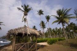 Reizen en vakantie in Sao Tomé en Principe