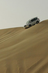 Dune bashing in Qatar
