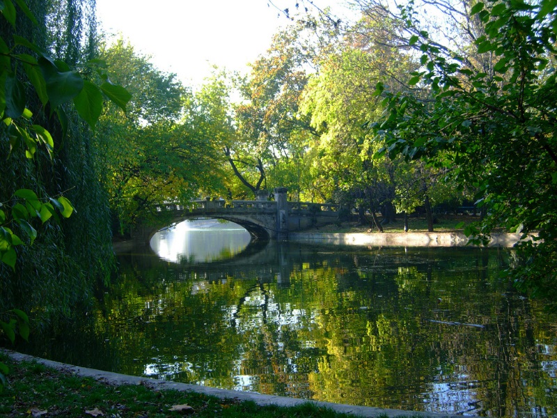 Brug in Cismigiu Park, Boekarest