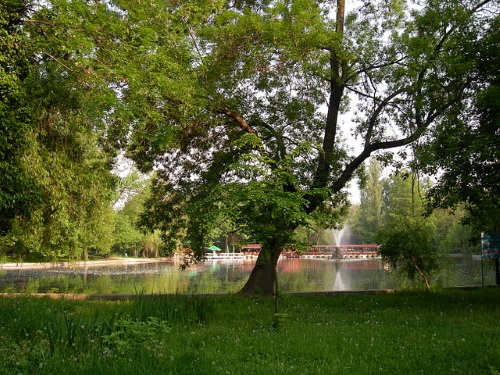 Cismigiu Park in Boekarest