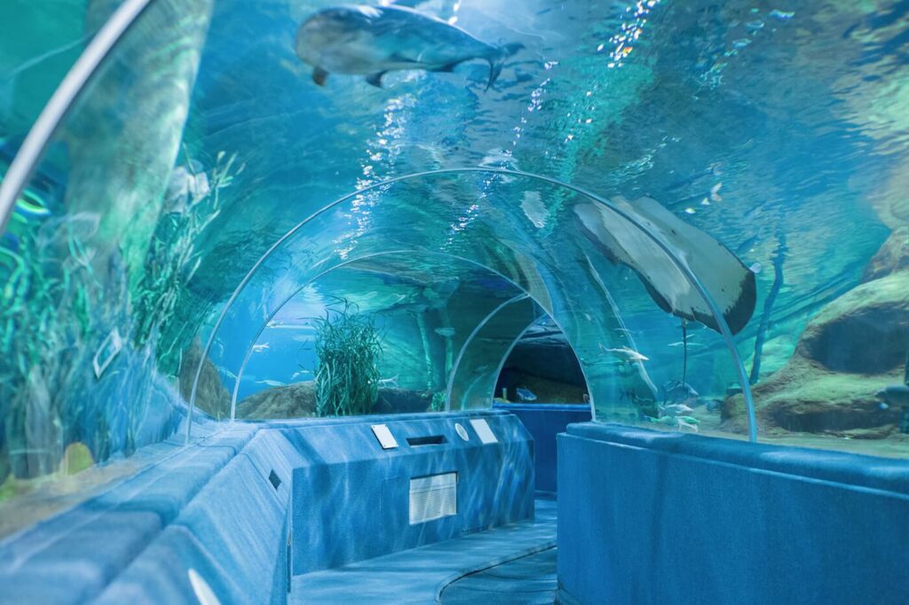 Dubai aquarium paspoortcontrole