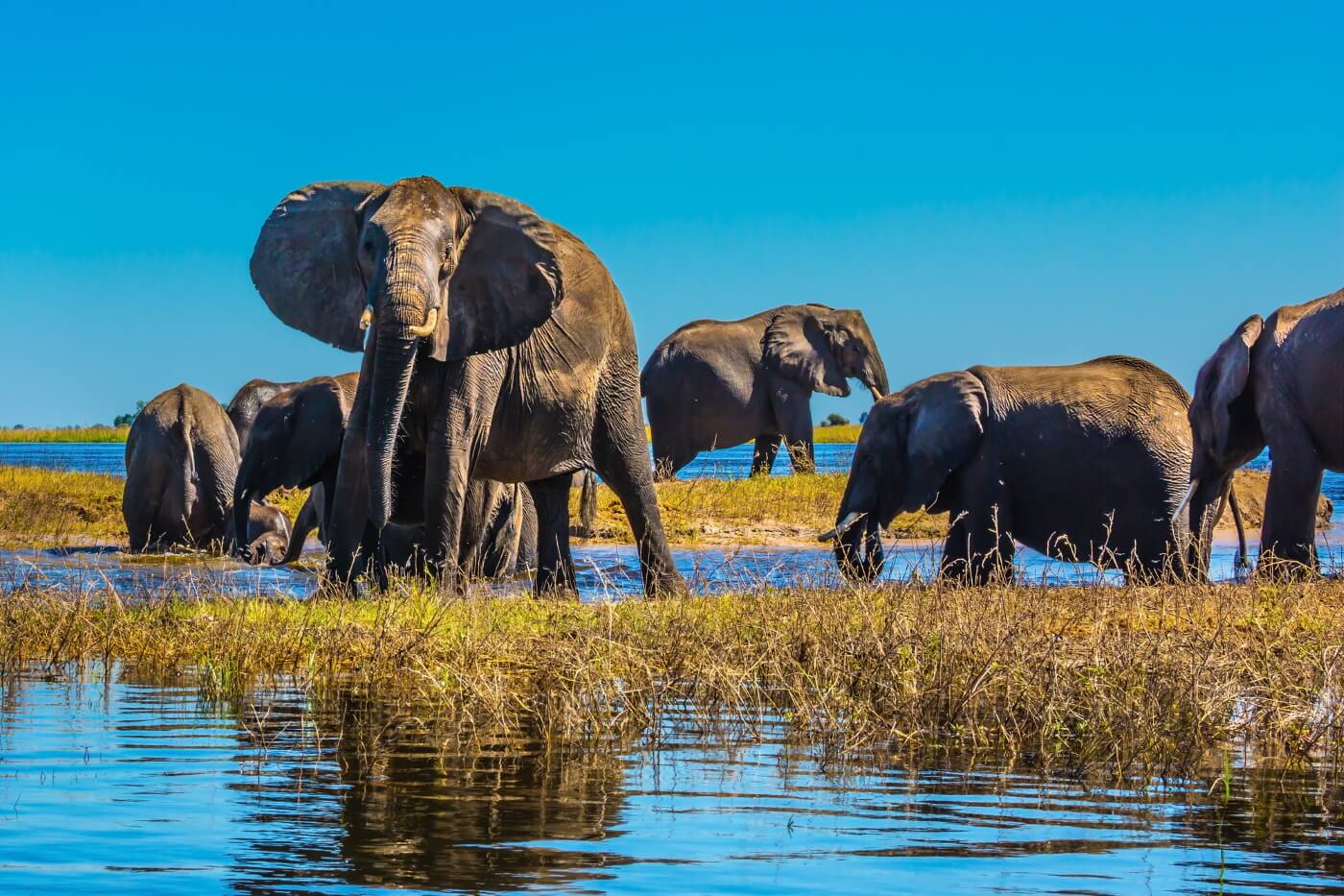 Botswana bezienswaardigheden