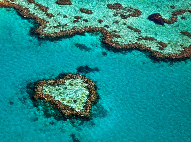 Heart Reef eiland Australië