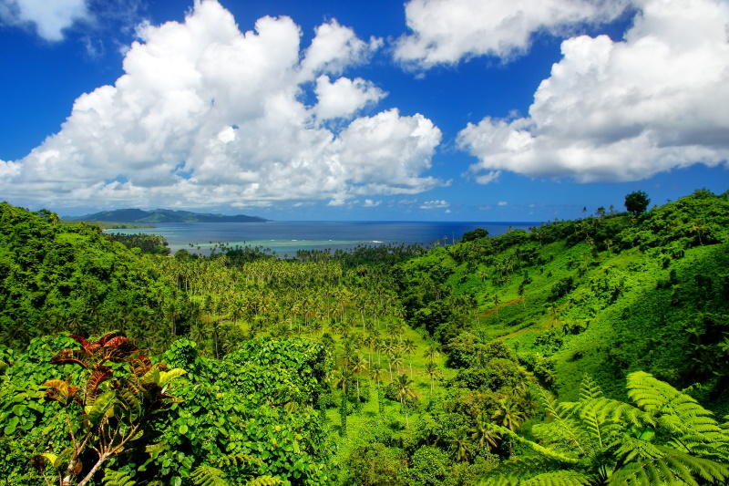 Fiji Taveuni