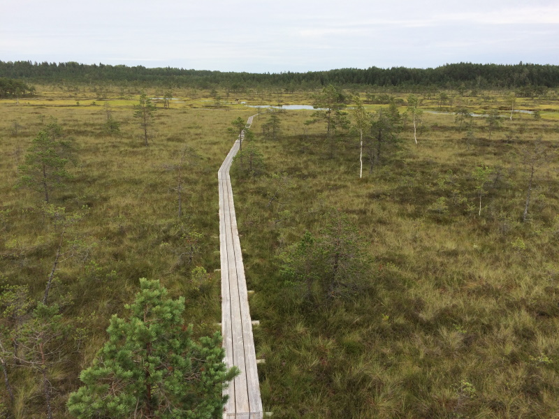 Soomaa Nationaal Park Estland
