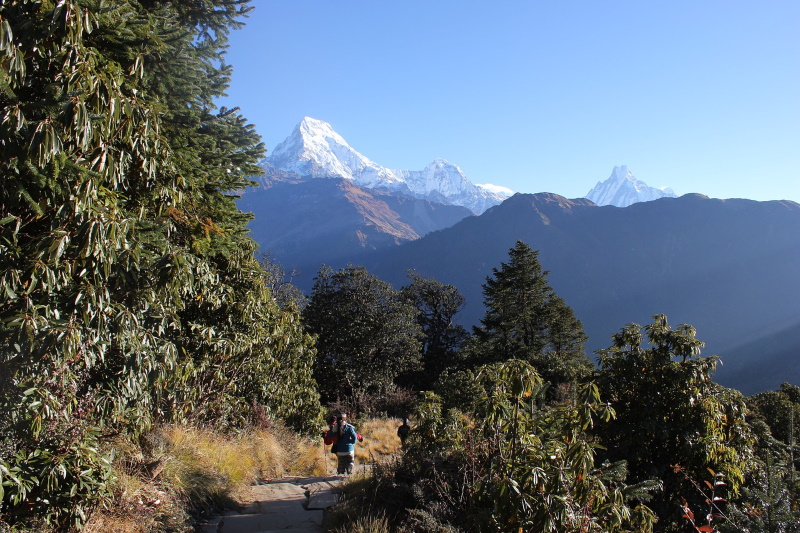 Nepal Langtang