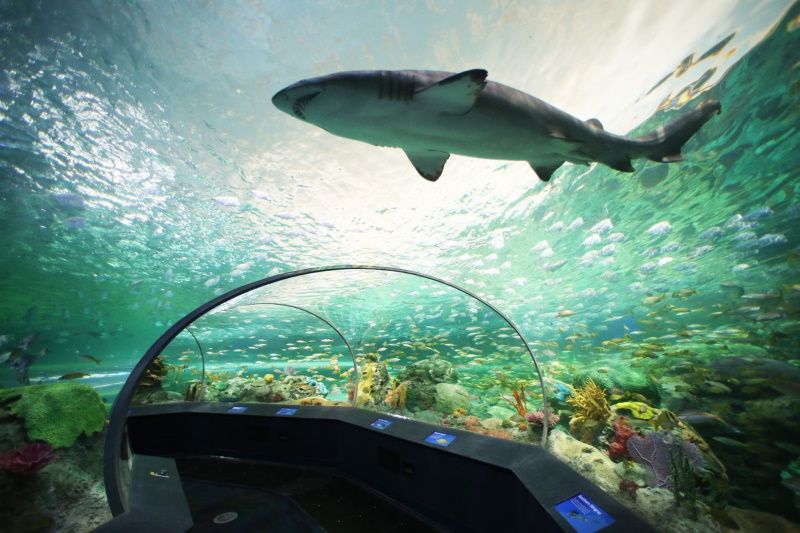 Toronto aquarium