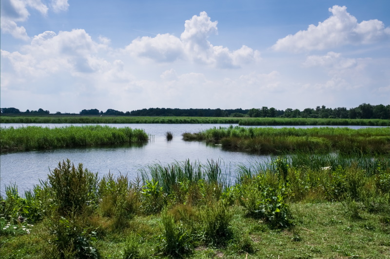 Weerribben Nationaal Park in Giethoorn