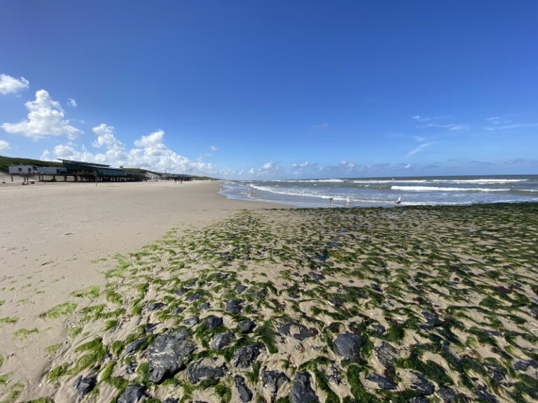 Wat te doen in Callantsoog: 10 tips! | Wereldreizigersclub