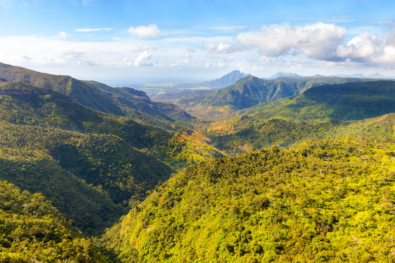 Mauritius Black River Gorges National Park