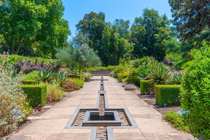 Botanische tuin van Adelaide
