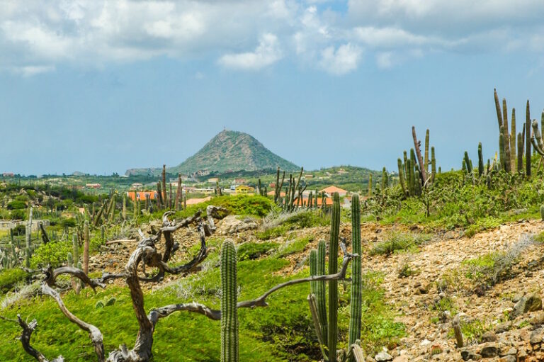Wat te doen op Aruba: 10 tips! | Wereldreizigersclub