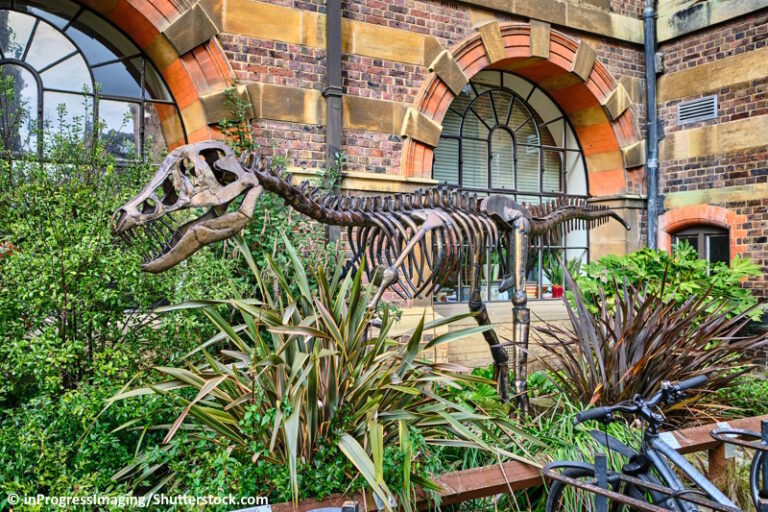 Wat te doen in Cambridge: 10 tips! | Wereldreizigersclub