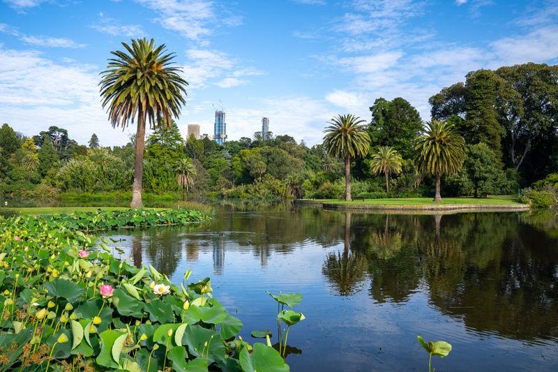 Botanische tuin in Melbourne