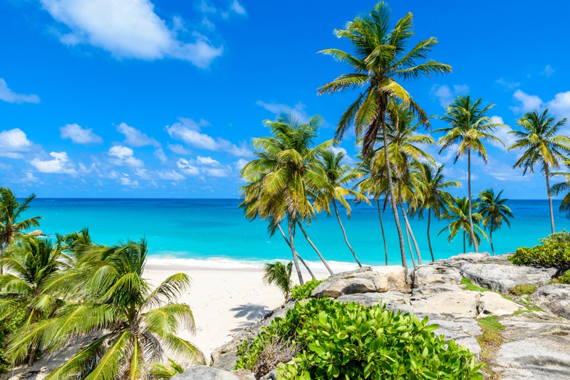 Barbados vliegen strand