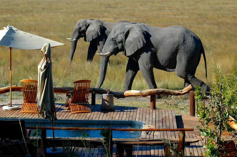 Botswana lodge