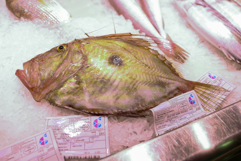 Alicante markthal vis