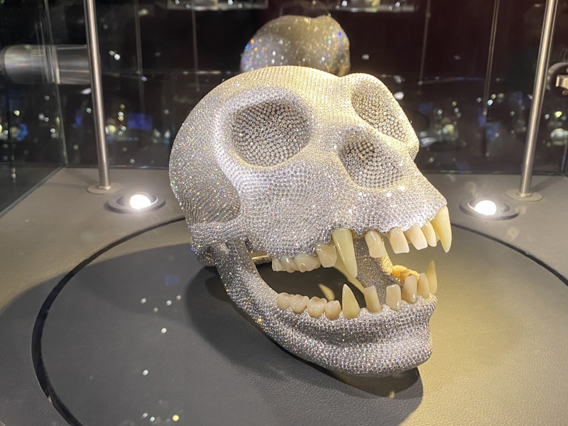 Amsterdam Diamantmuseum schedel