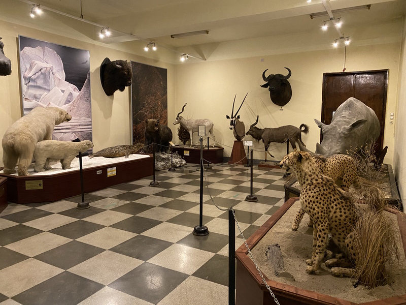 Natuurhistorisch Museum in Sofia