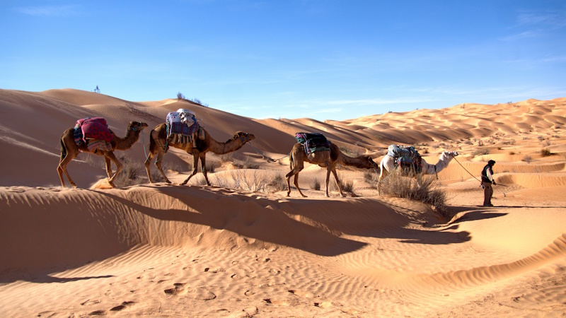 Tozeur kamelentocht