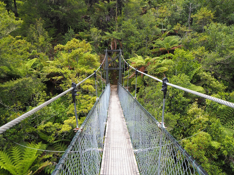 Hangbrug Abel Tasman National Park bij Nelson
