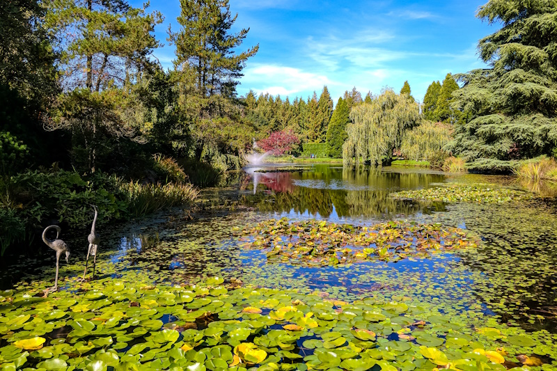 Vancouver VanDusen Botanical Garden