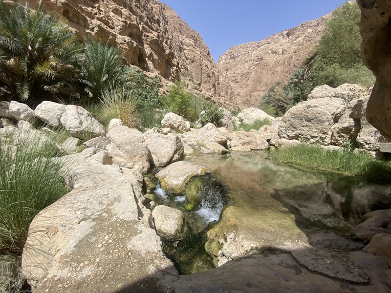 Wadi Shab poel