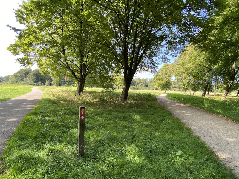 Paden Amsterdamse Bos Amstelveen