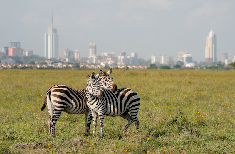 Kenia Nairobi park