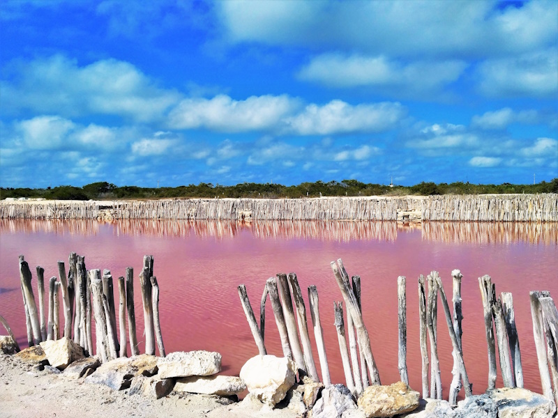 Merida roze zoutmeer