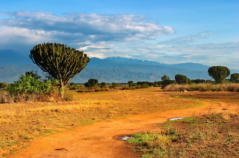 Oeganda Queen Elizabeth National Park landschap