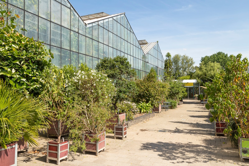 Botanische Tuinen in Utrecht