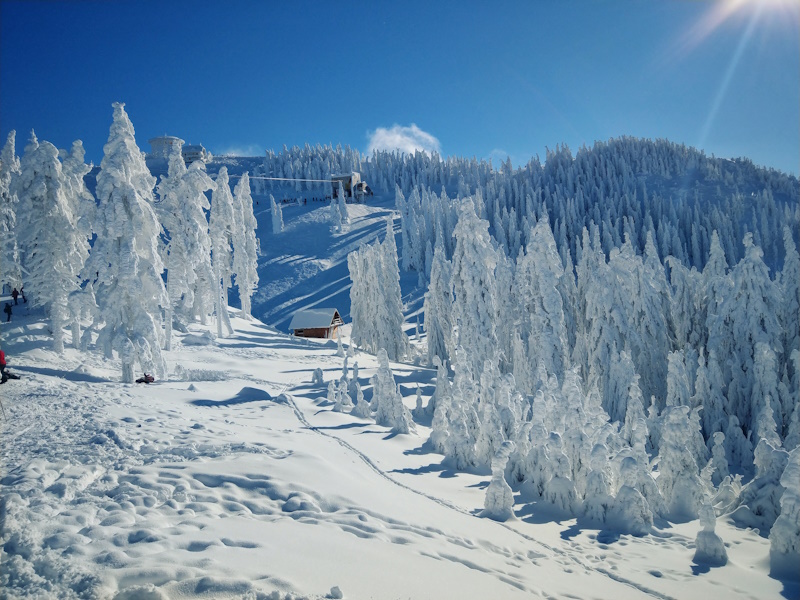 Brasov skigebied