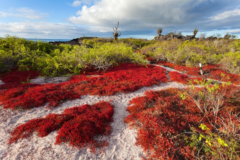 Galapagos eilanden landschap