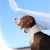 Geen grap: luchtvaartmaatschappij voor honden