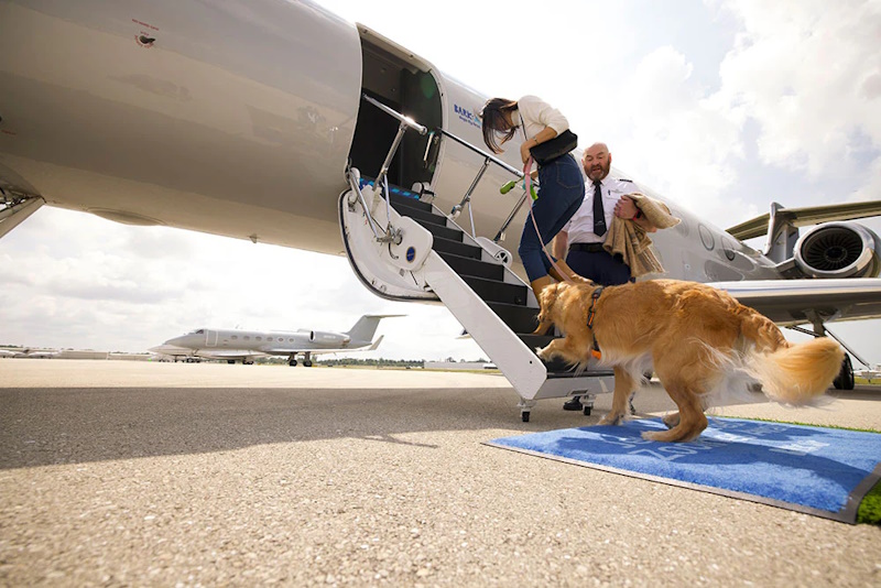 Luchtvaartmaatschappij honden privéjet