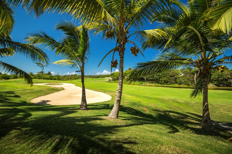 Punta Cana golf