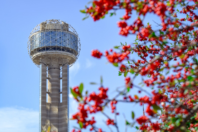 Reunion toren in Dallas