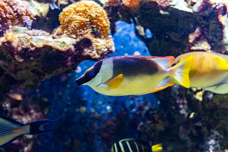 Düsseldorf Aquazoo