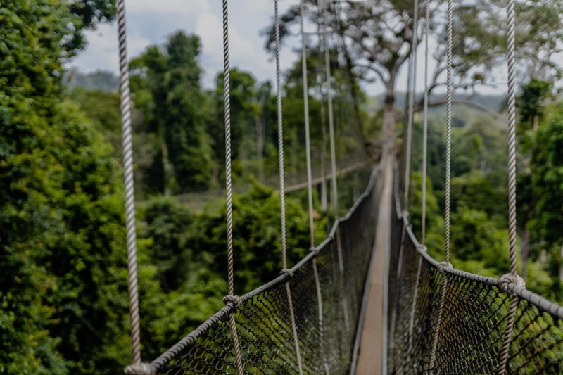 Ghana Kakum National Park