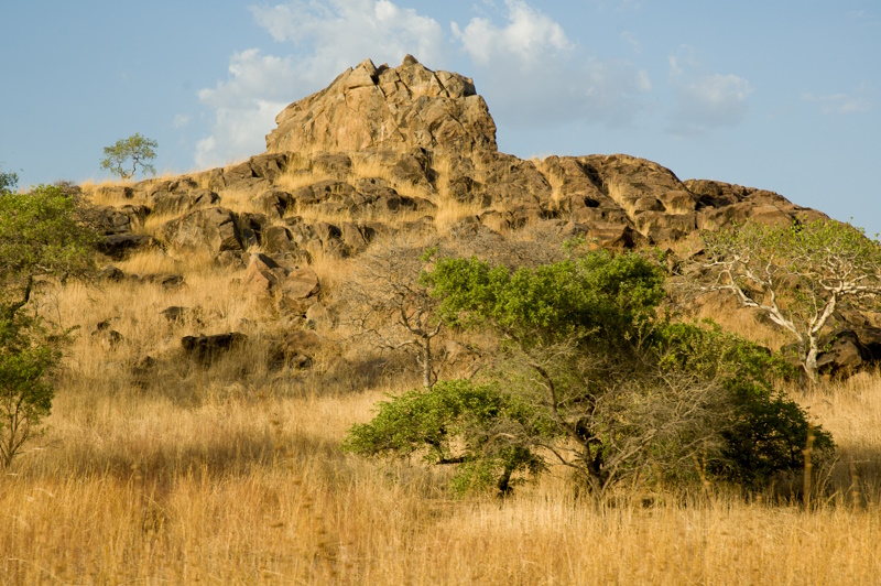 Kameroen Waza National Park