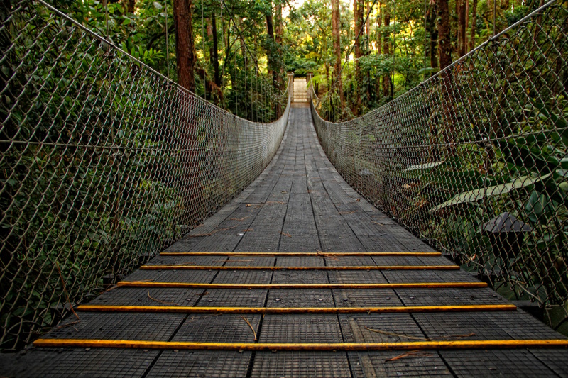 La Fortuna hangbrug regenwoud