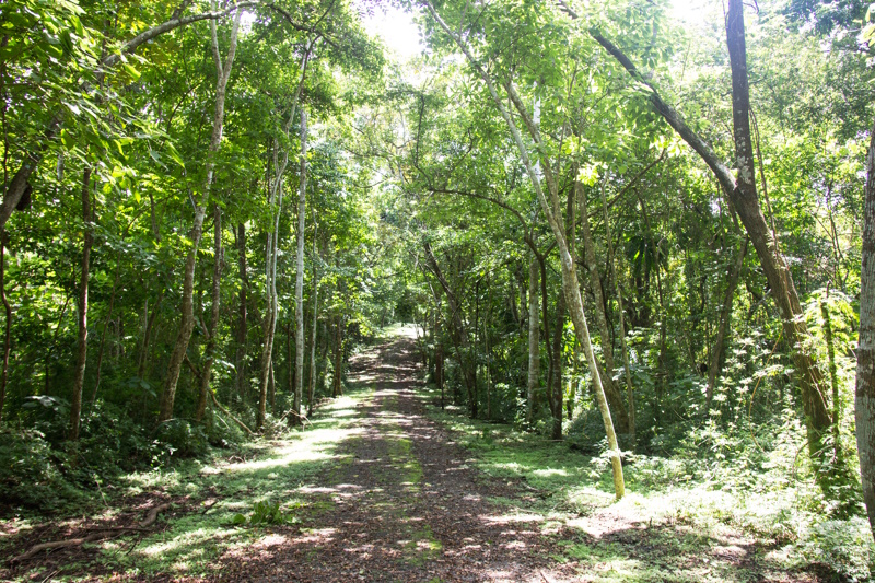 Park in Panama-Stad