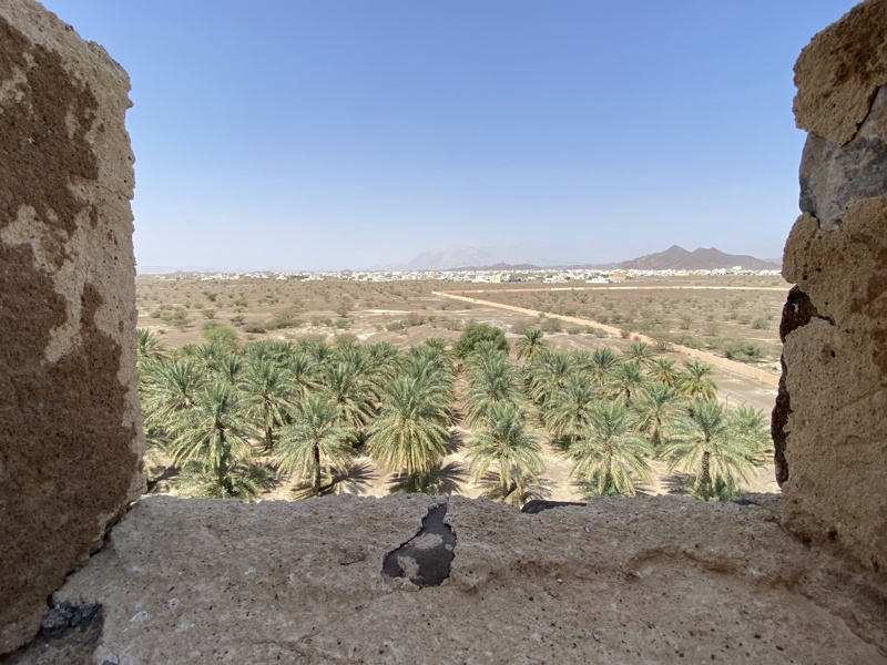 Palmoase Jabreen Castle Nizwa