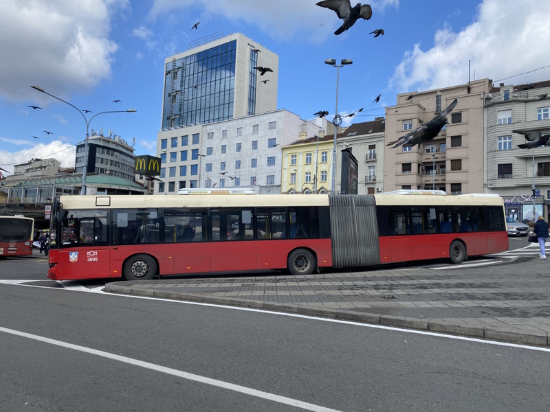 Belgrado bus