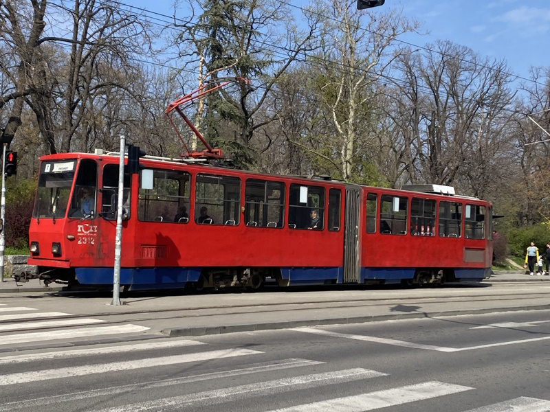 Belgrado tram