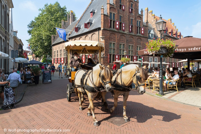 Doesburg feest