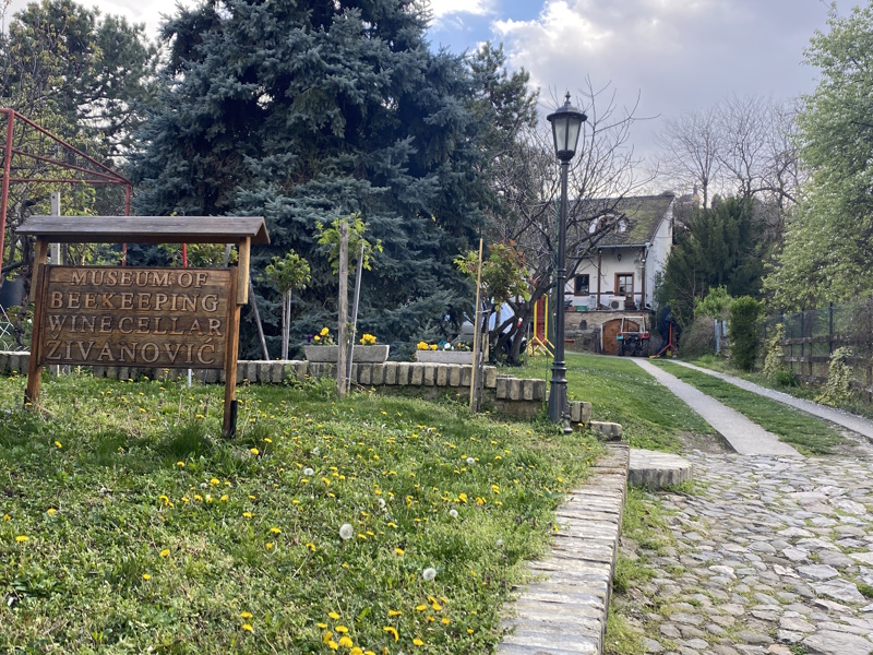 Bijenmuseum in Sremski Karlovci